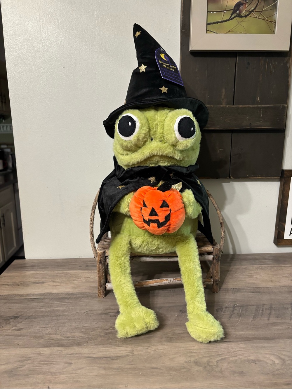 NEW VIRAL MOONLIGHT MANOR WIZARD FROG